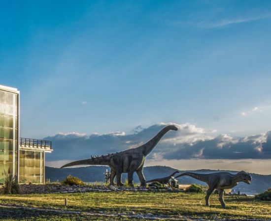 museo paleontologia